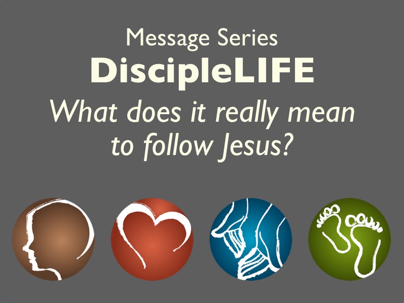DiscipleLIFE series small